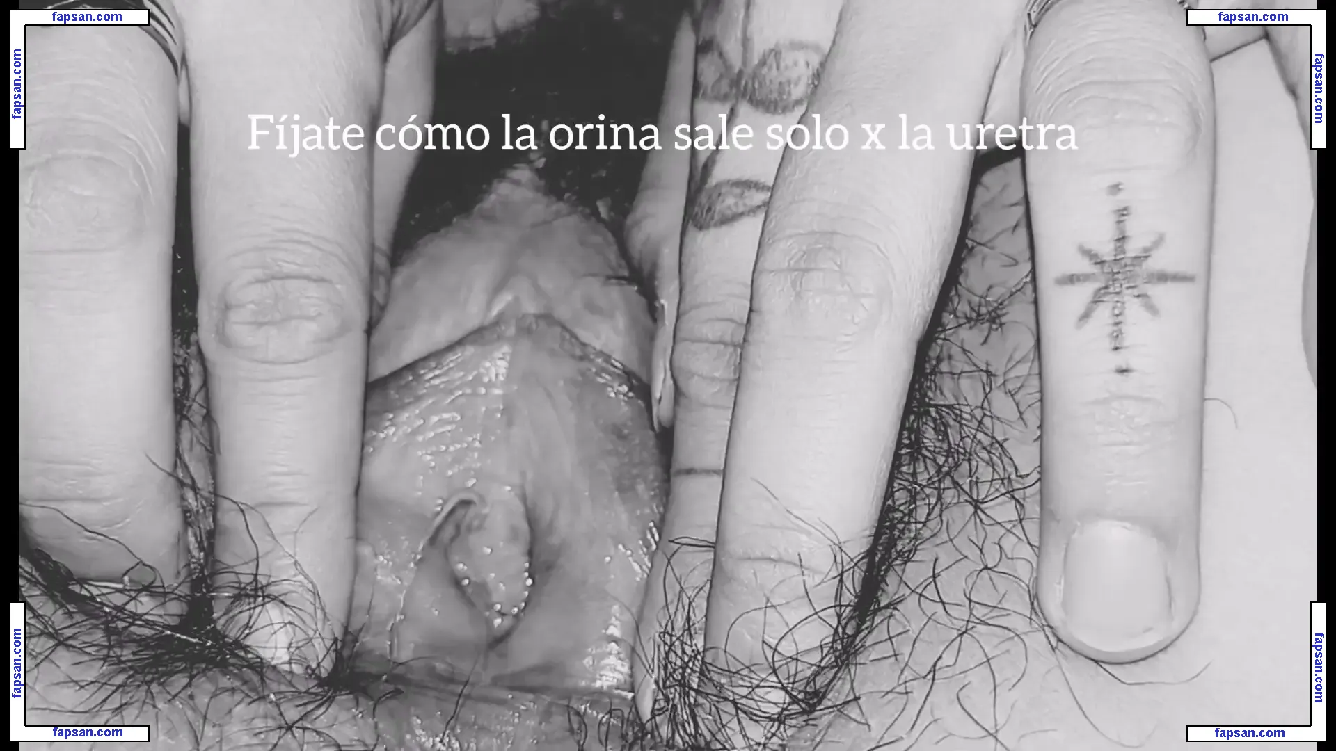 Professionals голая фото #0030 с Онлифанс