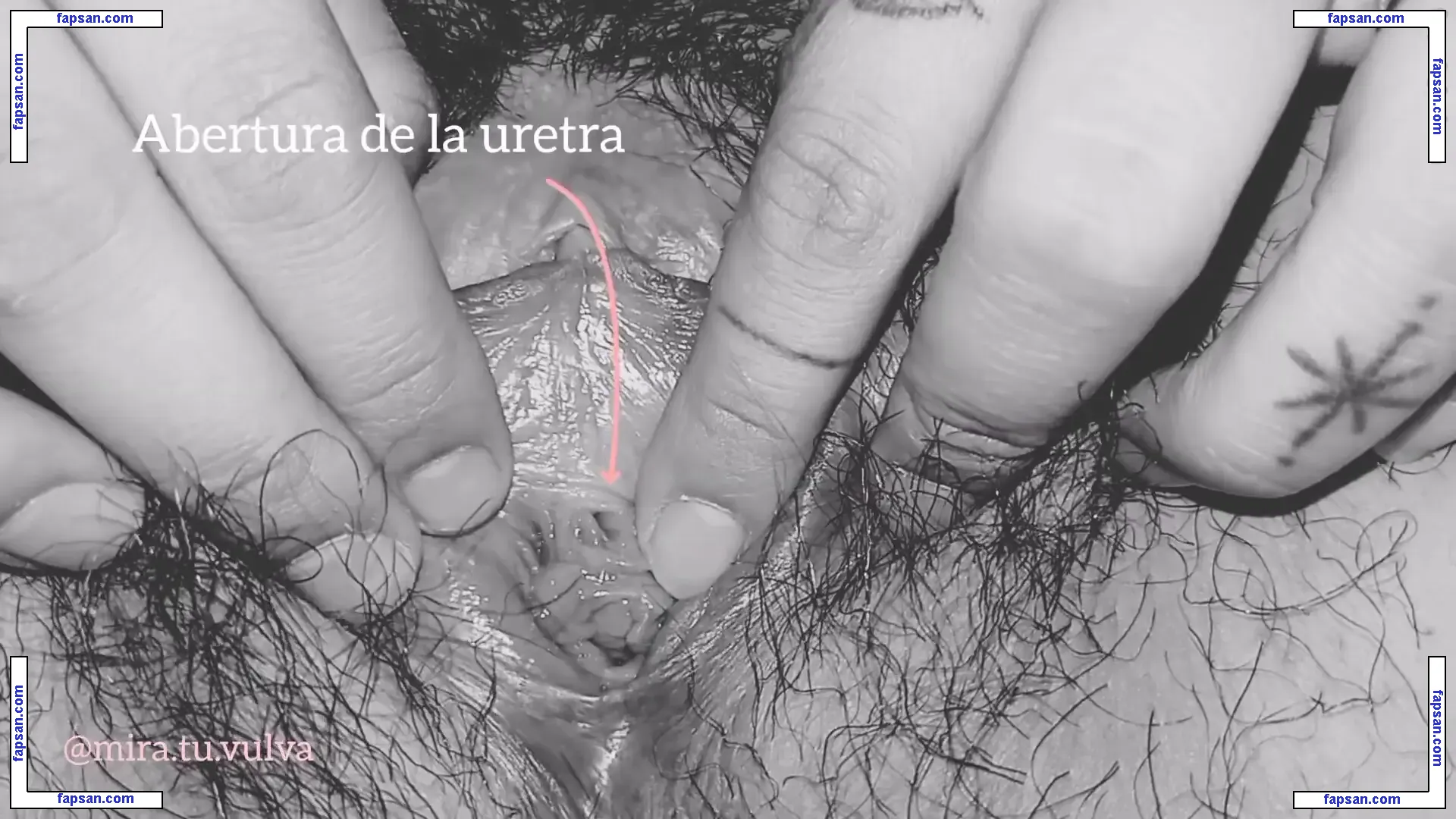 Professionals голая фото #0031 с Онлифанс