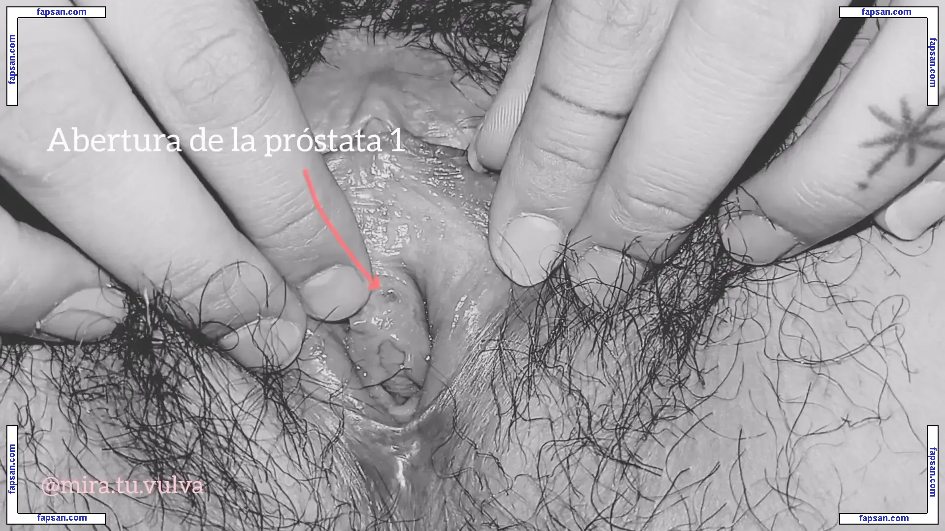 Professionals голая фото #0032 с Онлифанс