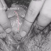 Professionals голая #0031