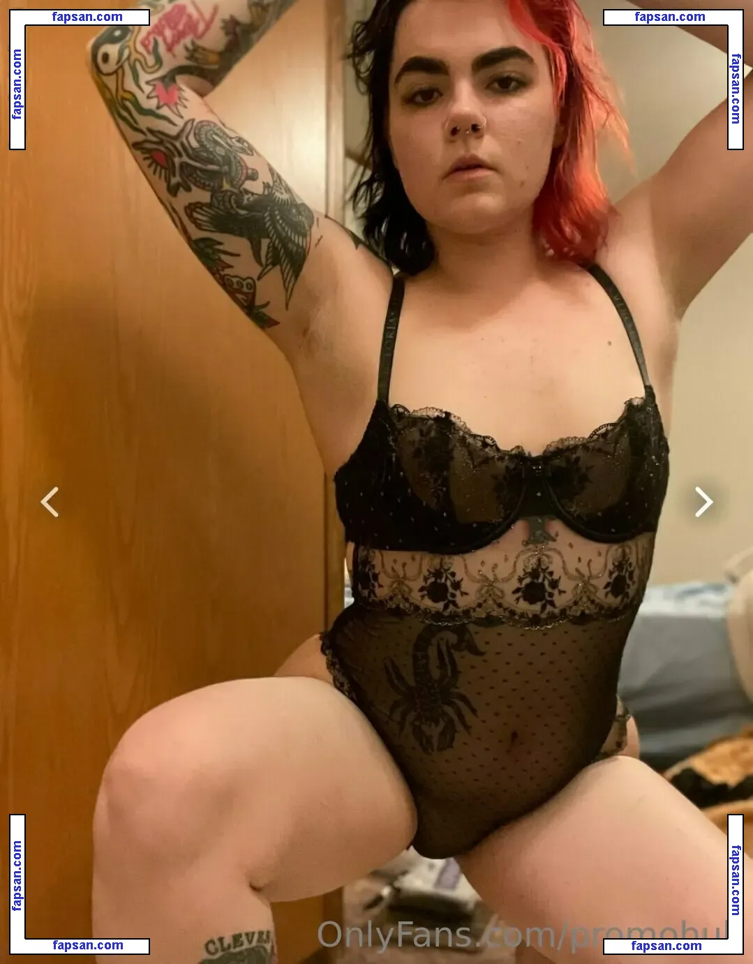 promohub nude photo #0019 from OnlyFans