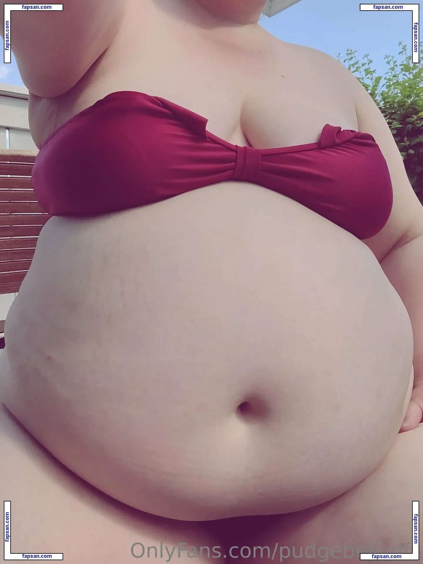 pudgebellyofc nude photo #0002 from OnlyFans