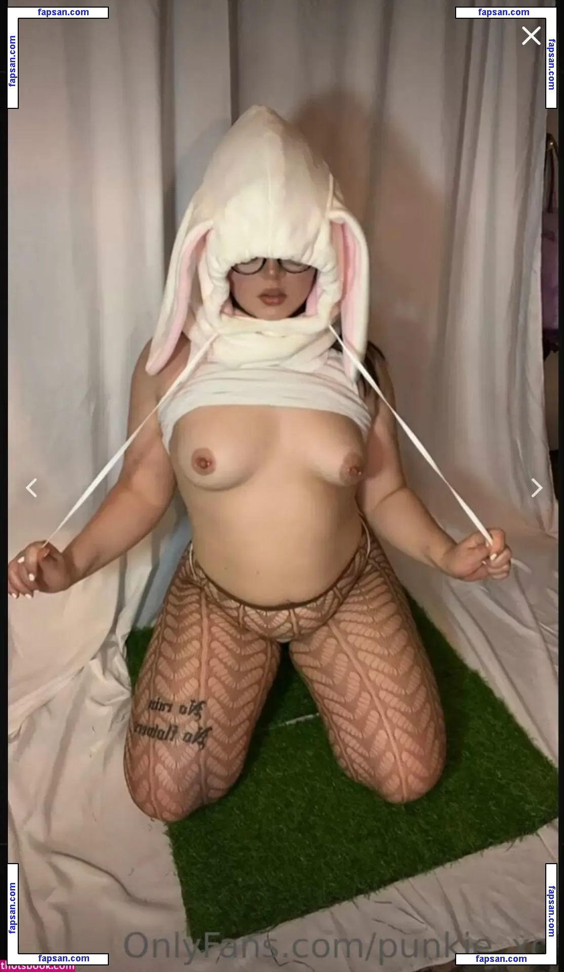 punkie_xo nude photo #0002 from OnlyFans