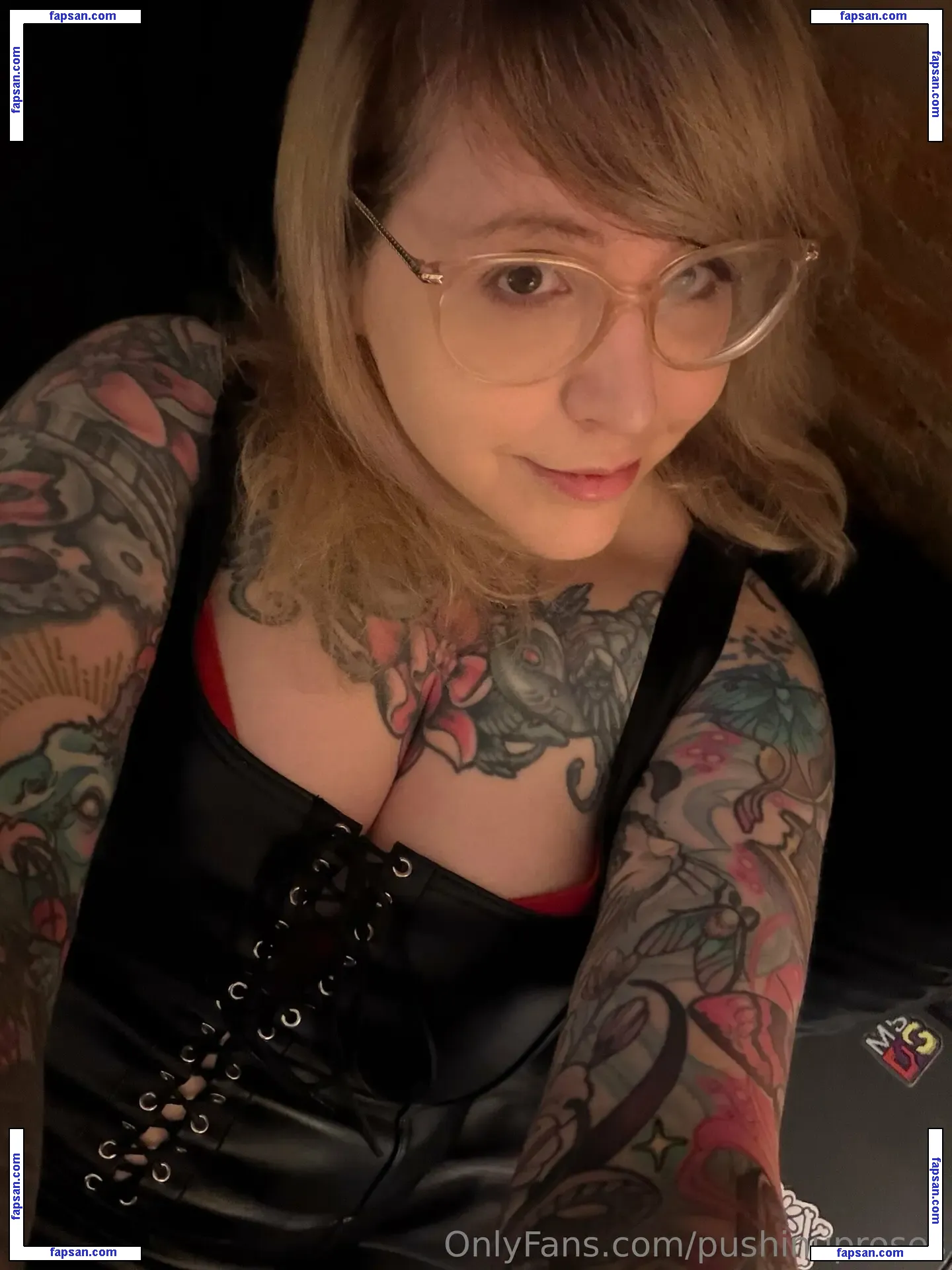 PushingUpRoses nude photo #0368 from OnlyFans