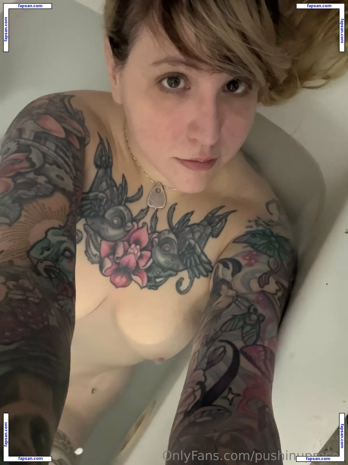 PushingUpRoses nude photo #0373 from OnlyFans