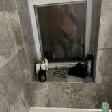 PushingUpRoses nude #0376