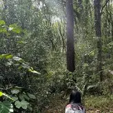 QiaoniuTT nude #3579