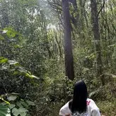 QiaoniuTT nude #3581