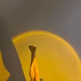 俏妞qiaoniuTT , 俏妞qiaoniu , qiaoniuTT , qiaoniu голая #0145