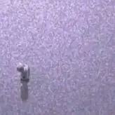 &QuotQuem É Essa&Quot Pesquise Nomes Aqui. голая #0009