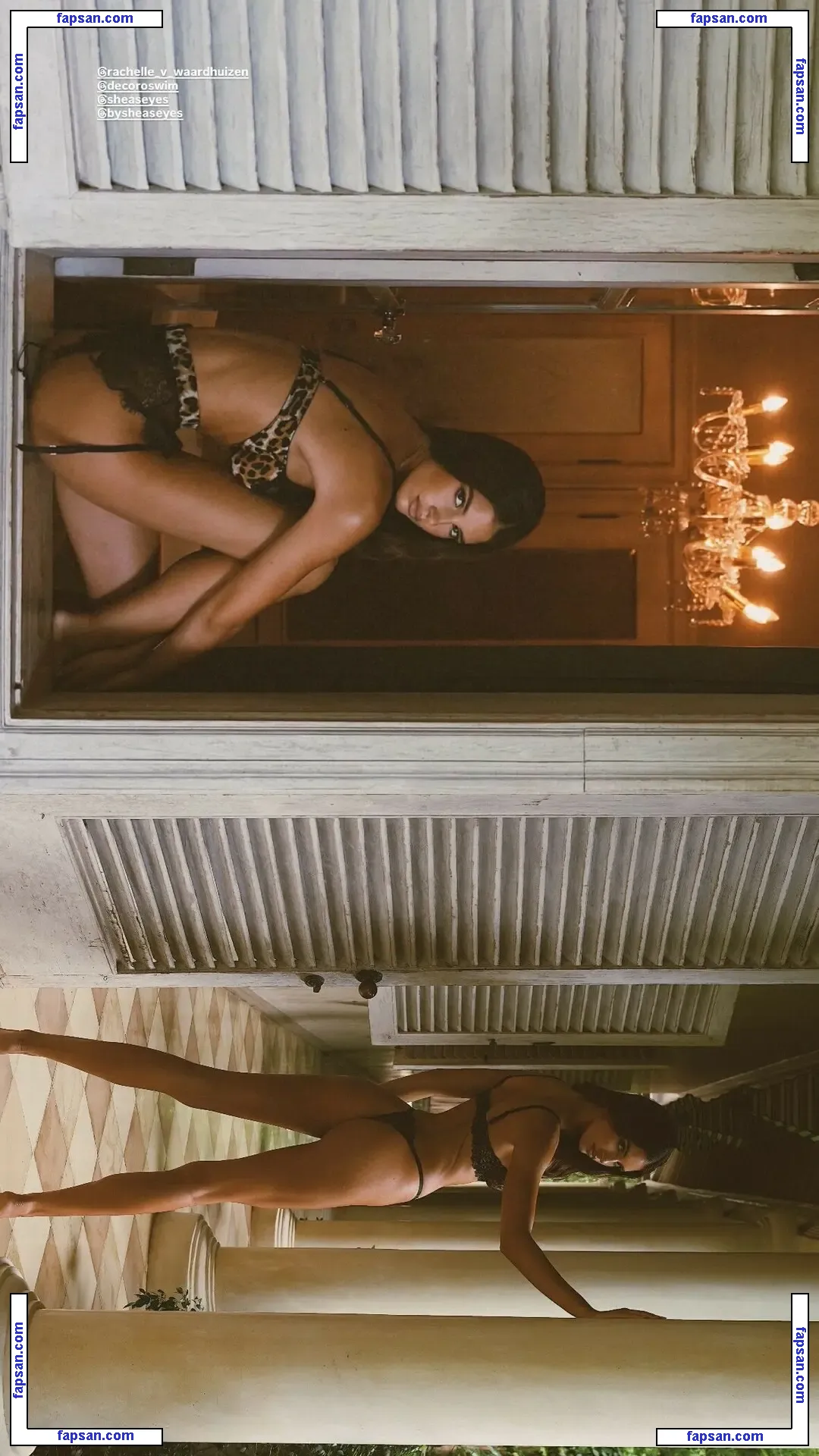 Rachelle Van Waardhuizen голая фото #0369 с Онлифанс