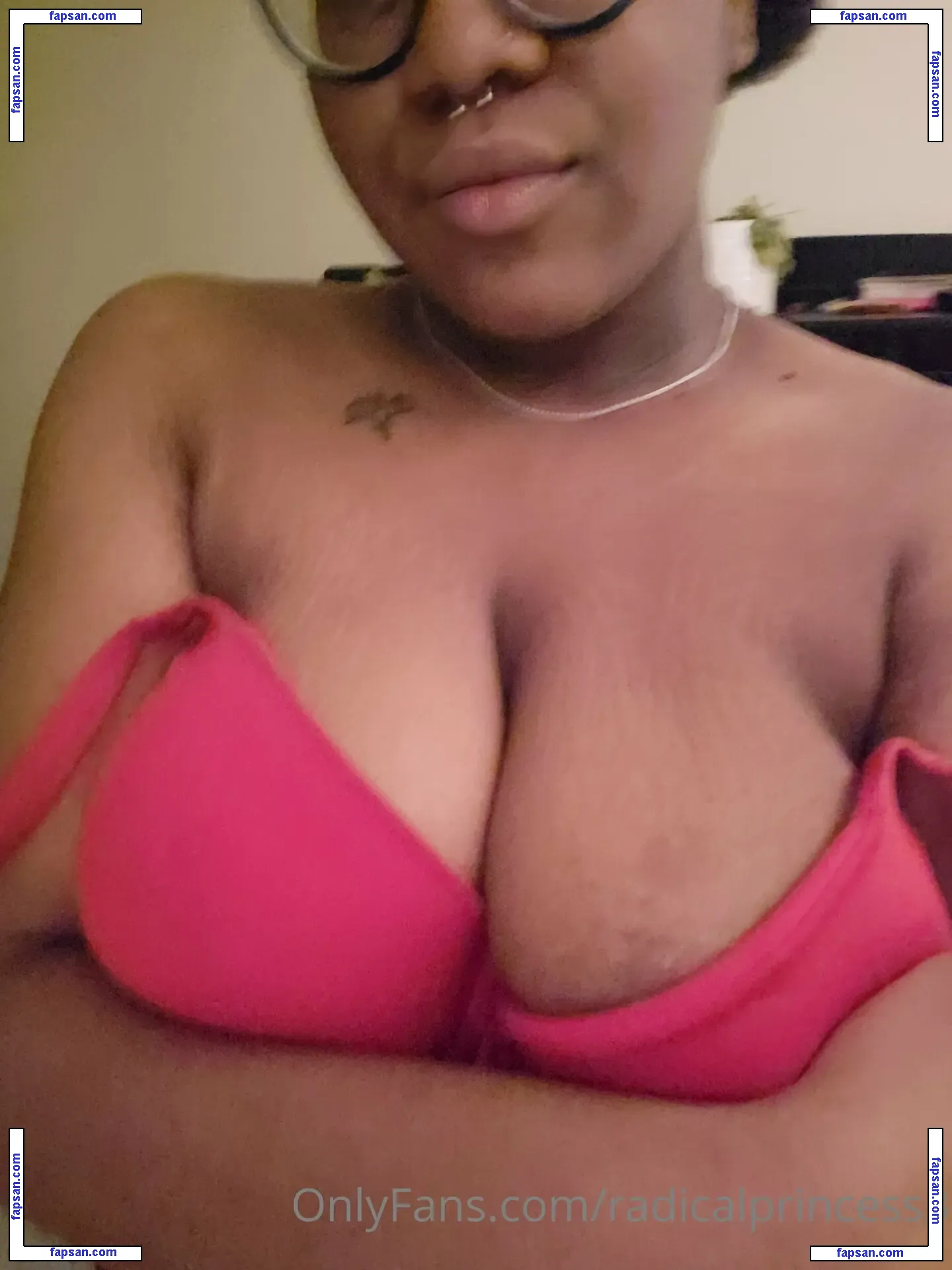 radicalprincess3 nude photo #0027 from OnlyFans