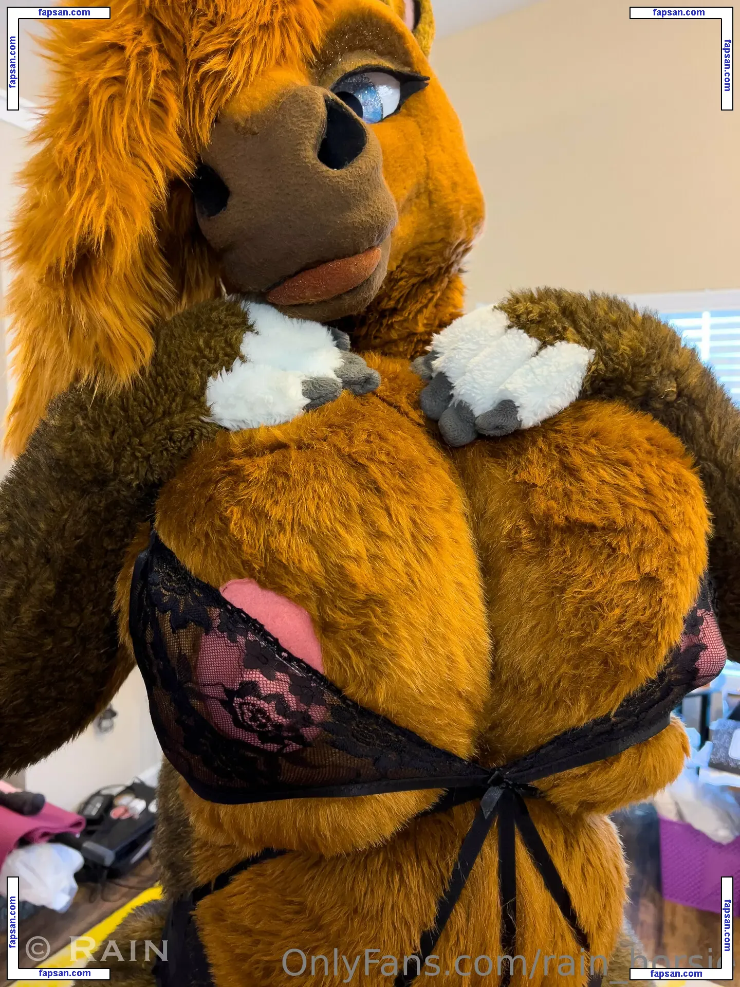 rain_horsie nude photo #0006 from OnlyFans