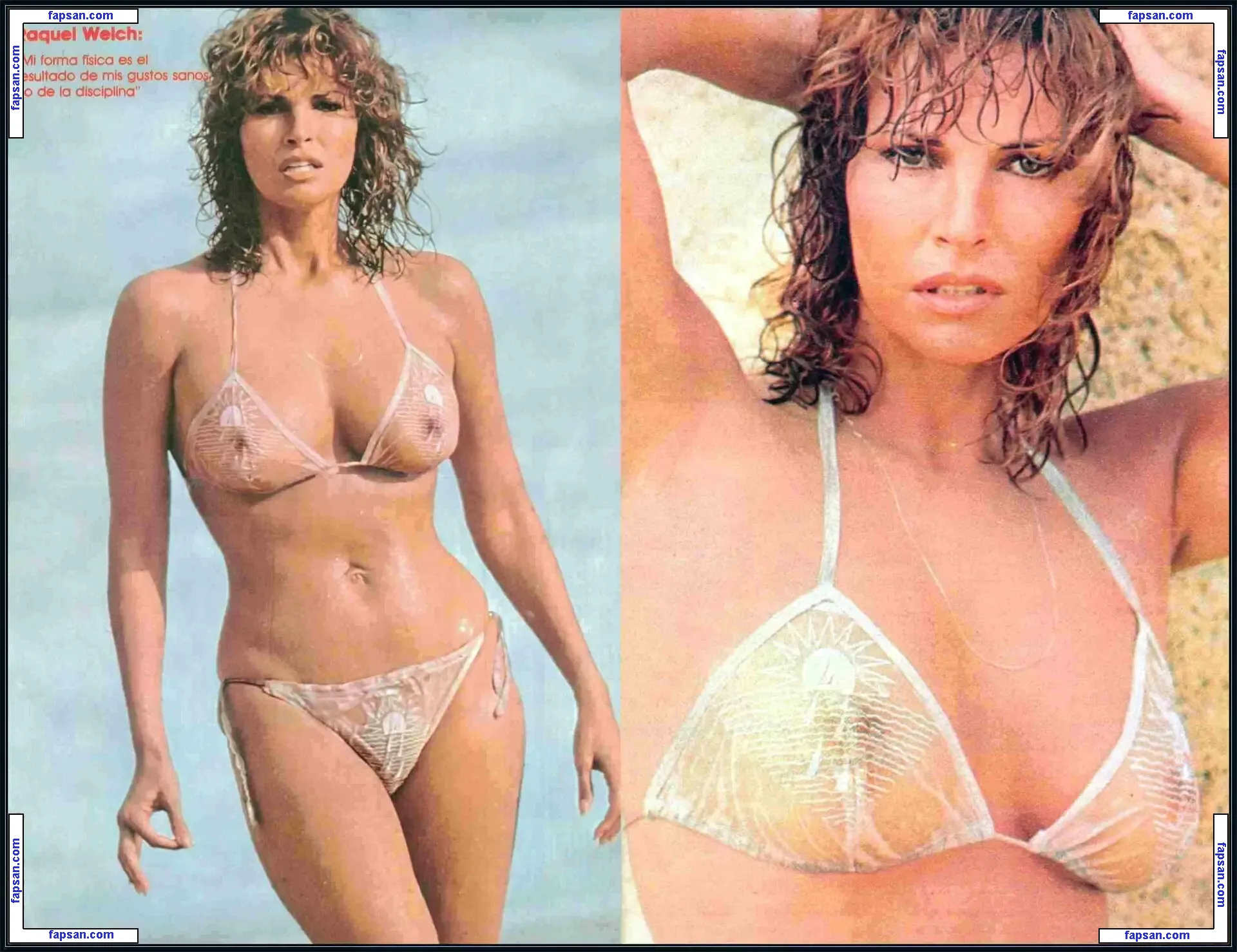 Raquel Welch nude photo #0209 from OnlyFans