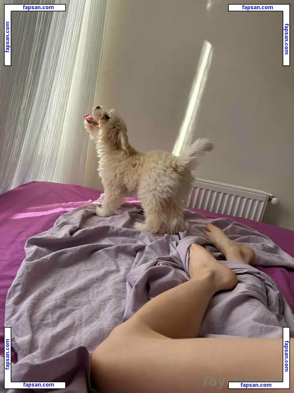 raychel_kiss nude photo #0072 from OnlyFans
