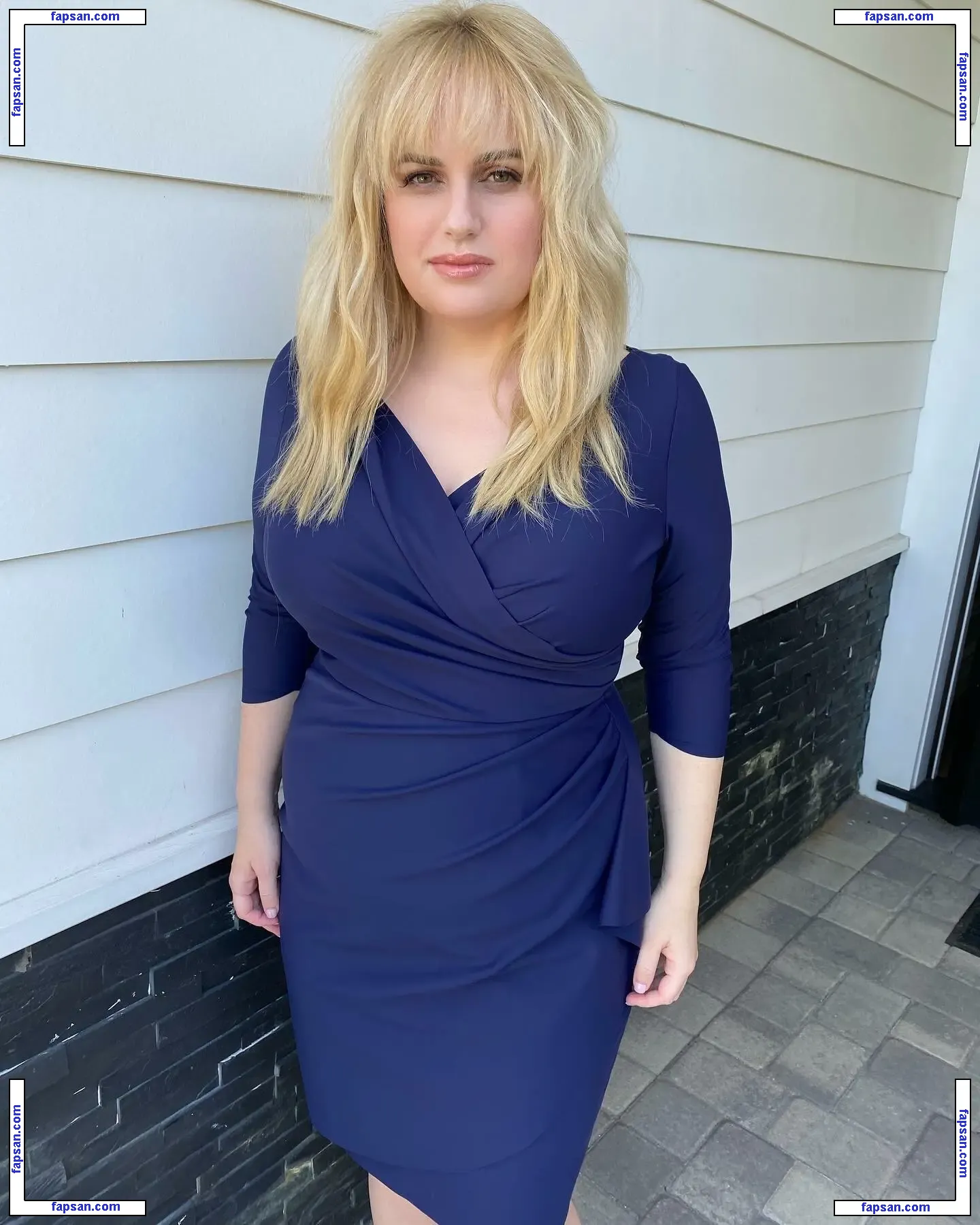 Rebel Wilson голая фото #0038 с Онлифанс