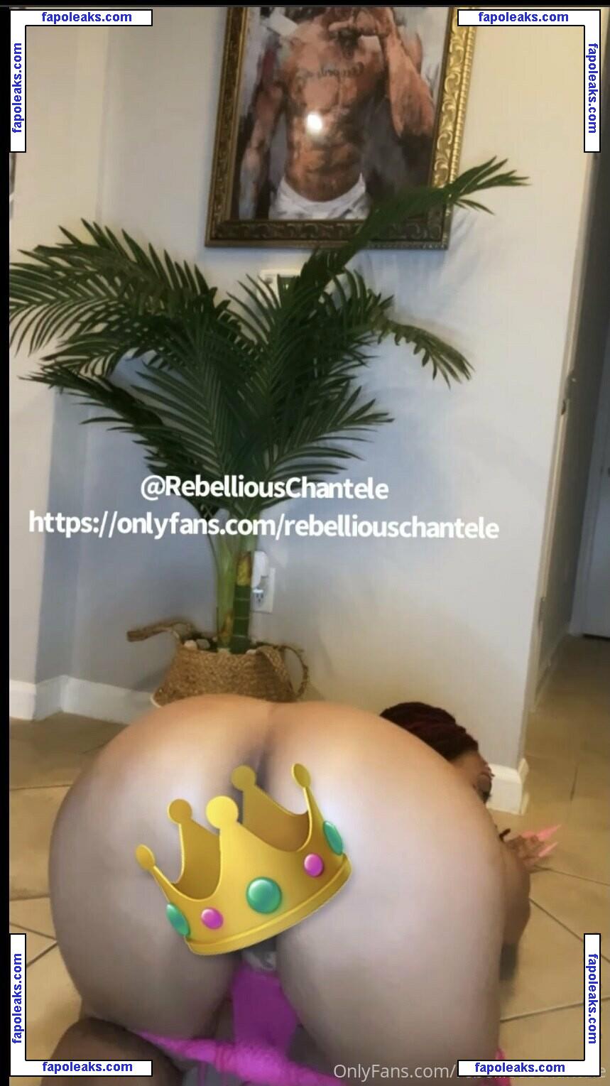 rebelliouschantele / rebellious_chantele голая фото #0013 с Онлифанс