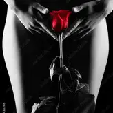 Red Rose nude #0015