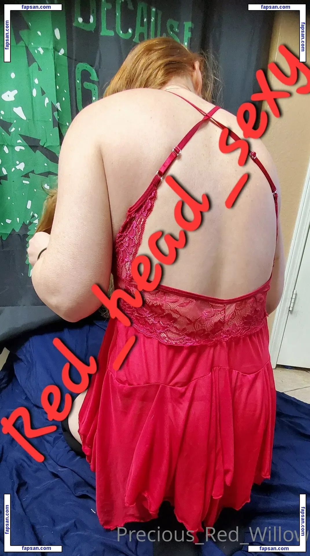 redheadbeauty2222 nude photo #0002 from OnlyFans