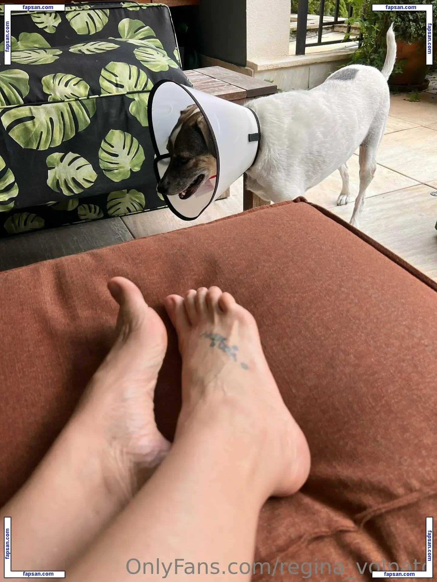 Regina Volpato nude photo #0046 from OnlyFans