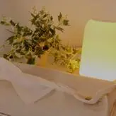 Reiko Kobayakawa nude #0037