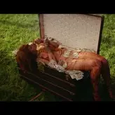 Rihanna nude #1879