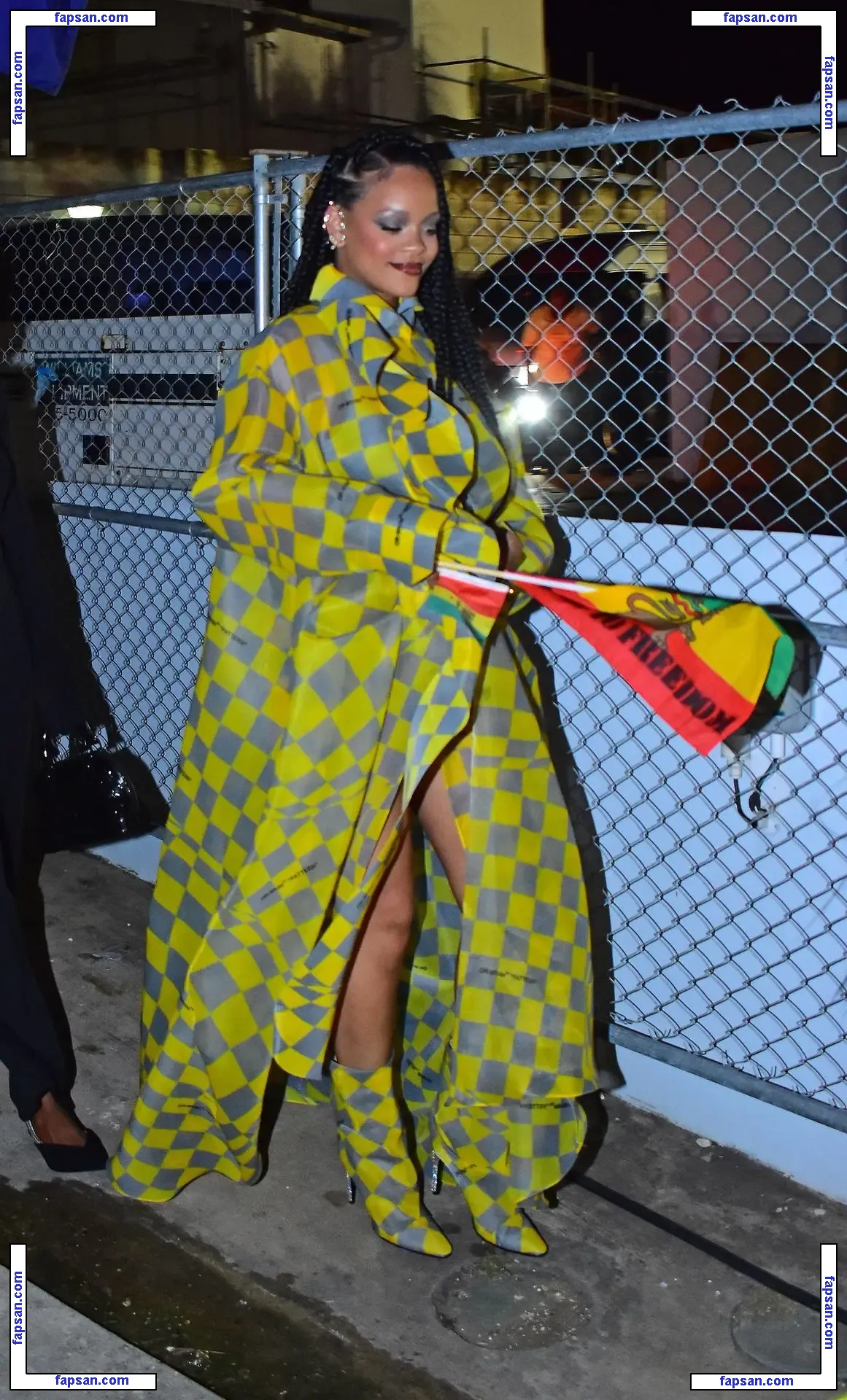 Rihanna nude photo #3600 from OnlyFans