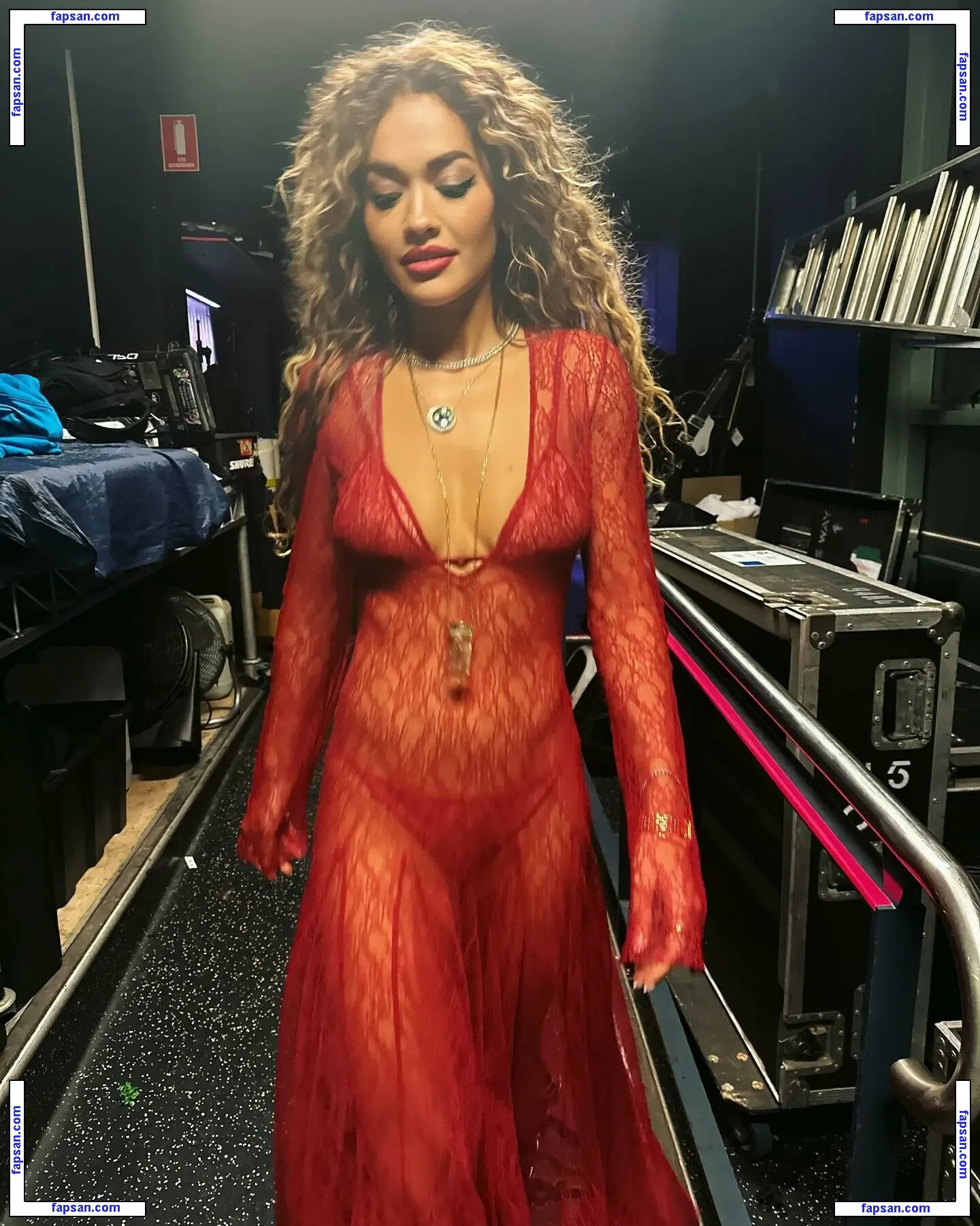 Rita Ora nude photo #14040 from OnlyFans