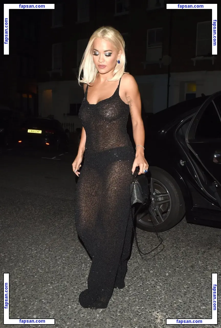 Rita Ora голая фото #1146 с Онлифанс