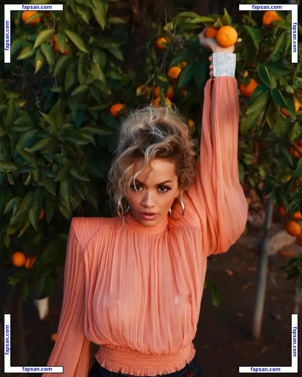 Rita Ora nude photo #2790 from OnlyFans