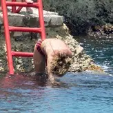 Rita Ora nude #3596