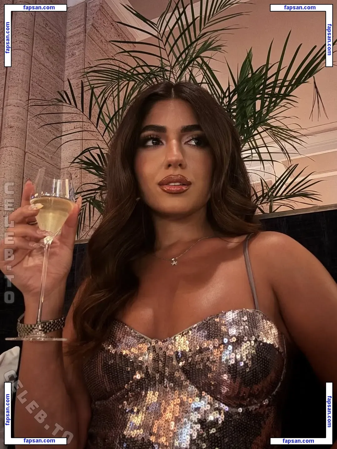 Romita Valizadeh nude photo #0004 from OnlyFans