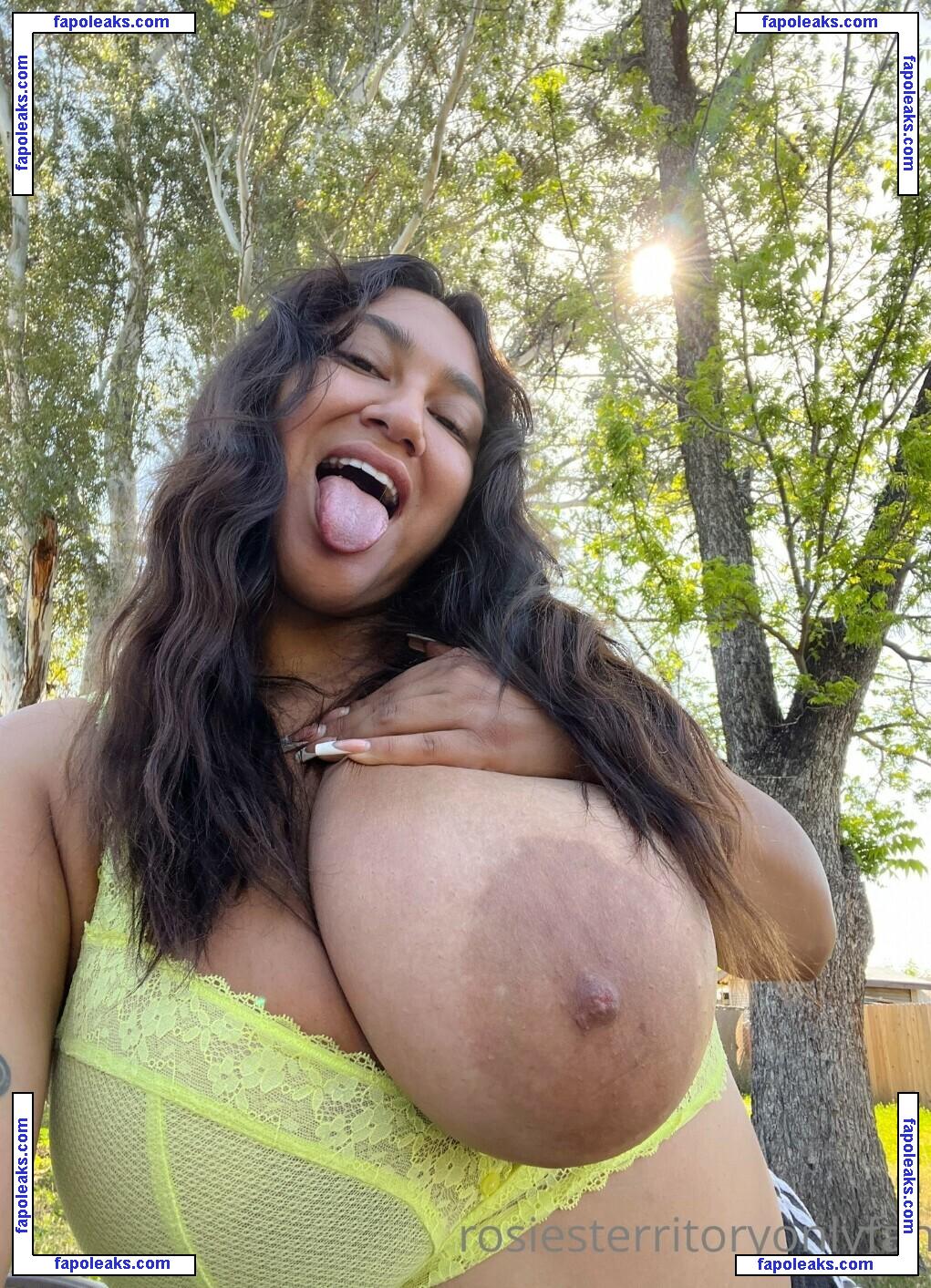 Rosa Guttierez / Realroses / Rosiesterritory / Roserayy / realroses nude photo #0009 from OnlyFans