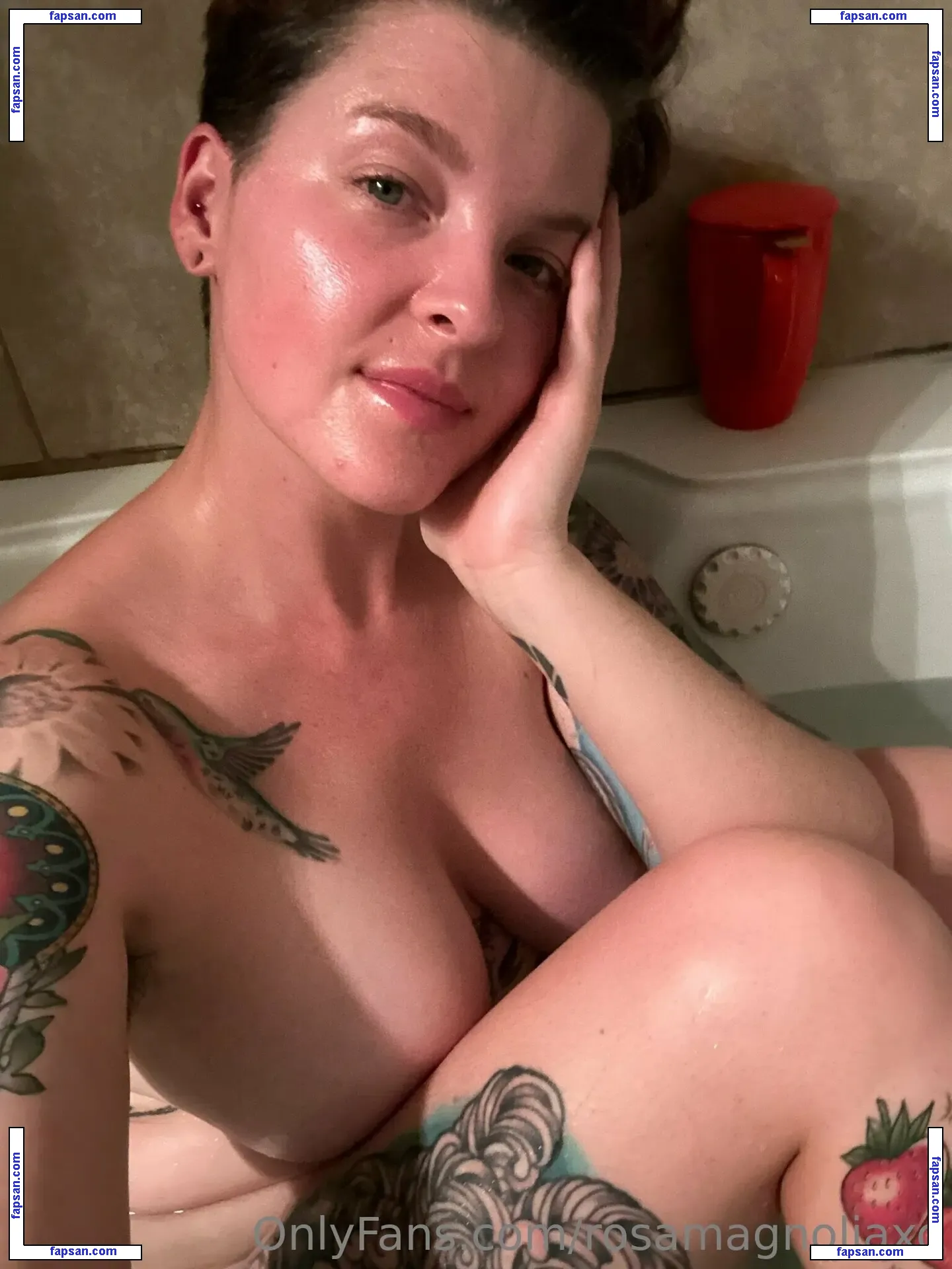 rosamagnoliaxo nude photo #0302 from OnlyFans