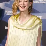 Rosamund Pike голая #0488