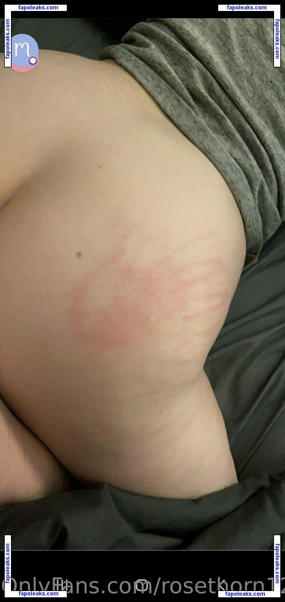 rosethorn129021 / rosethorns12 nude photo #0019 from OnlyFans