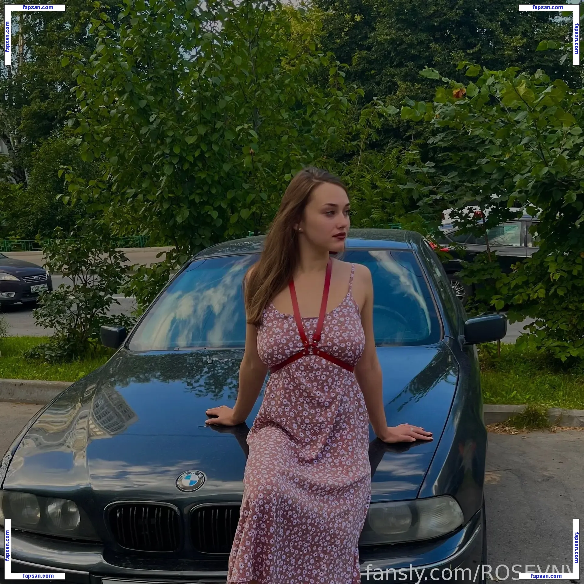 Rosevnv nude photo #0078 from OnlyFans