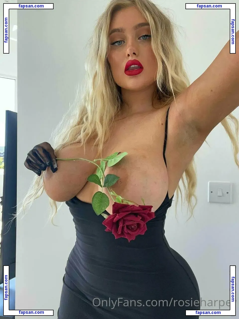 rosieharper nude photo #0055 from OnlyFans