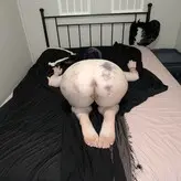 Runawaycord голая #0004