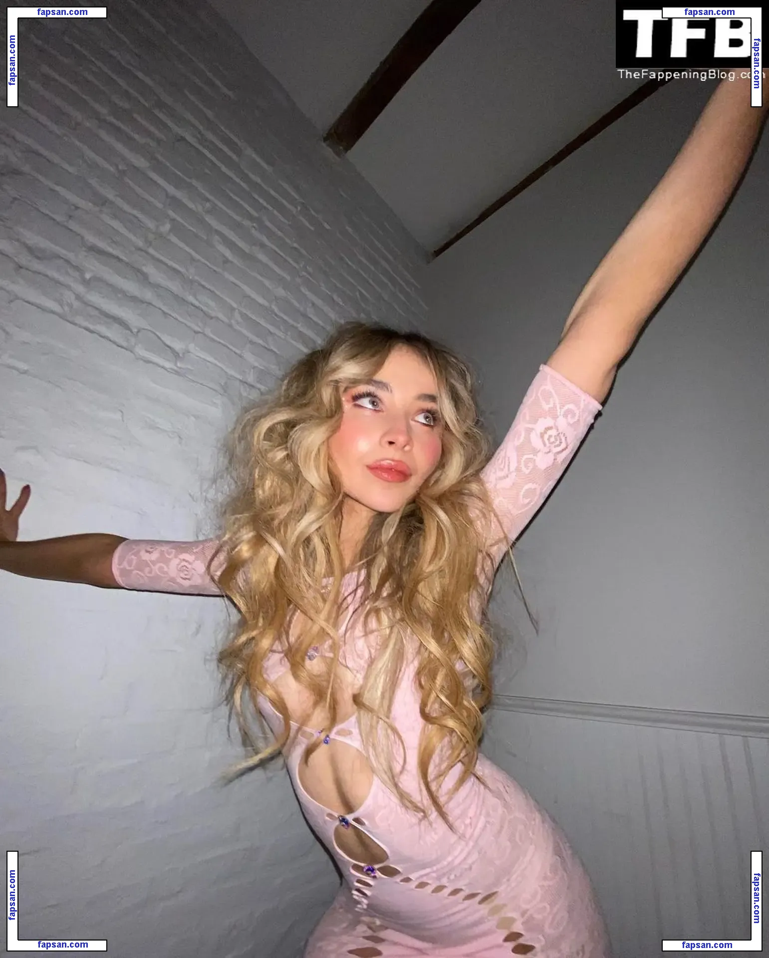 Sabrina Carpenter голая фото #0169 с Онлифанс