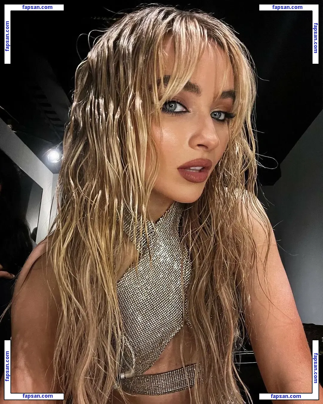 Sabrina Carpenter голая фото #1292 с Онлифанс