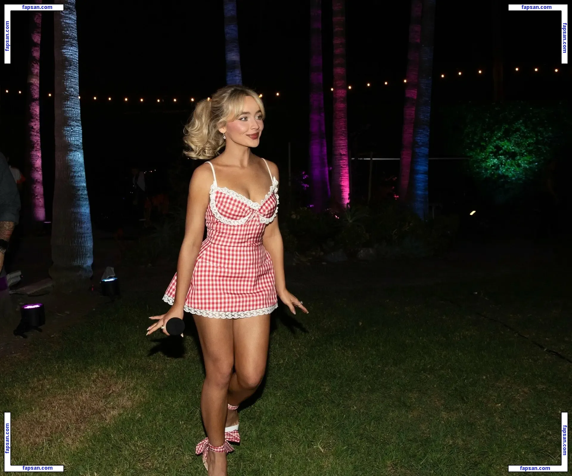 Sabrina Carpenter nude photo #3901 from OnlyFans