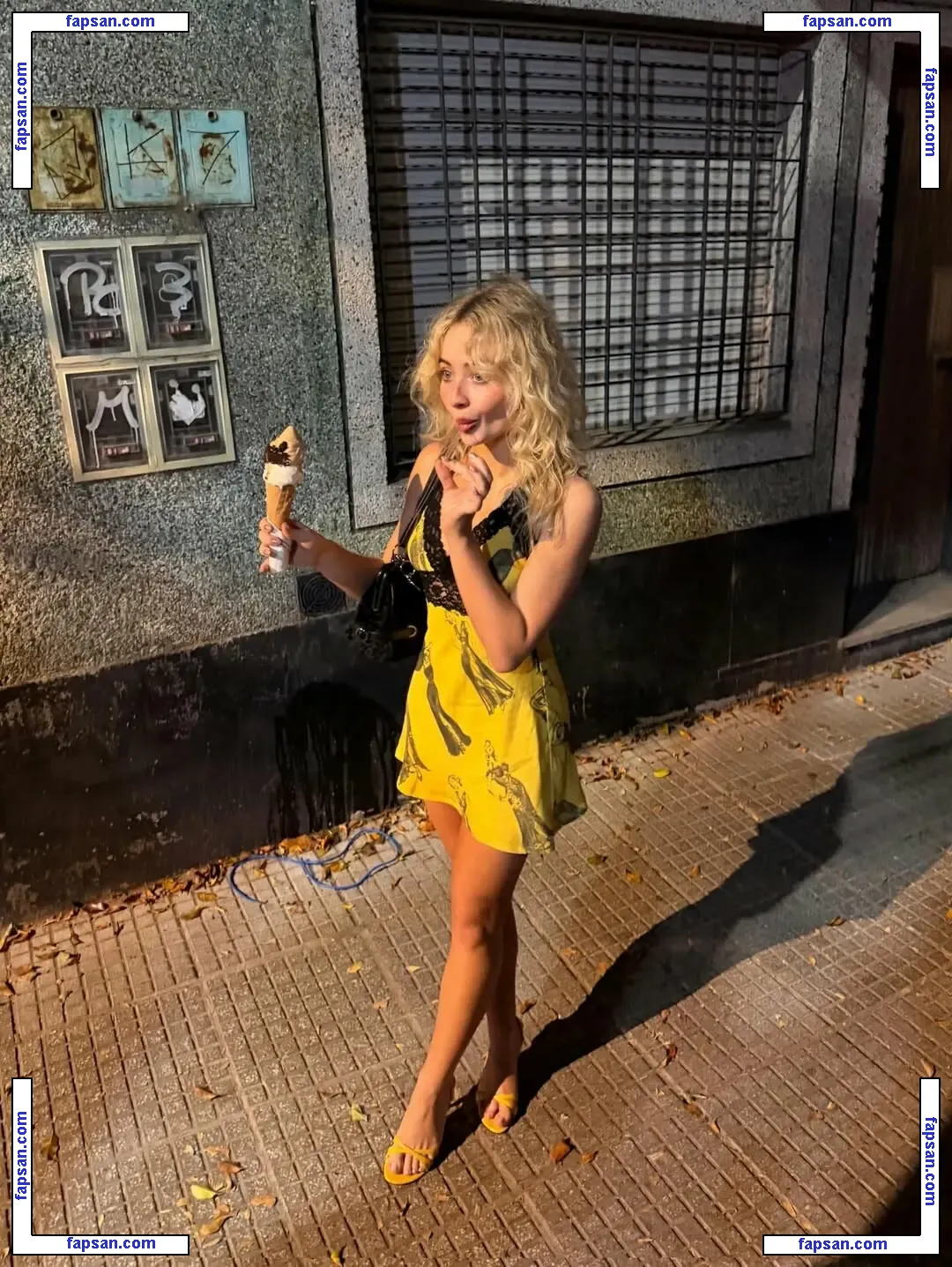 Sabrina Carpenter nude photo #4366 from OnlyFans