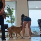 Sabrina Sato голая #0425