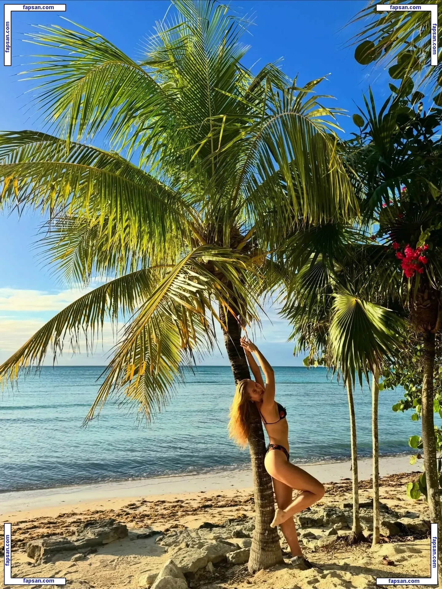 Sailor Brinkley Cook голая фото #1252 с Онлифанс