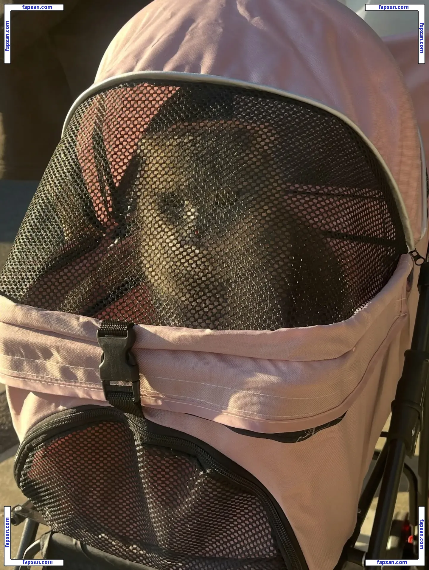 Saizneko nude photo #0628 from OnlyFans