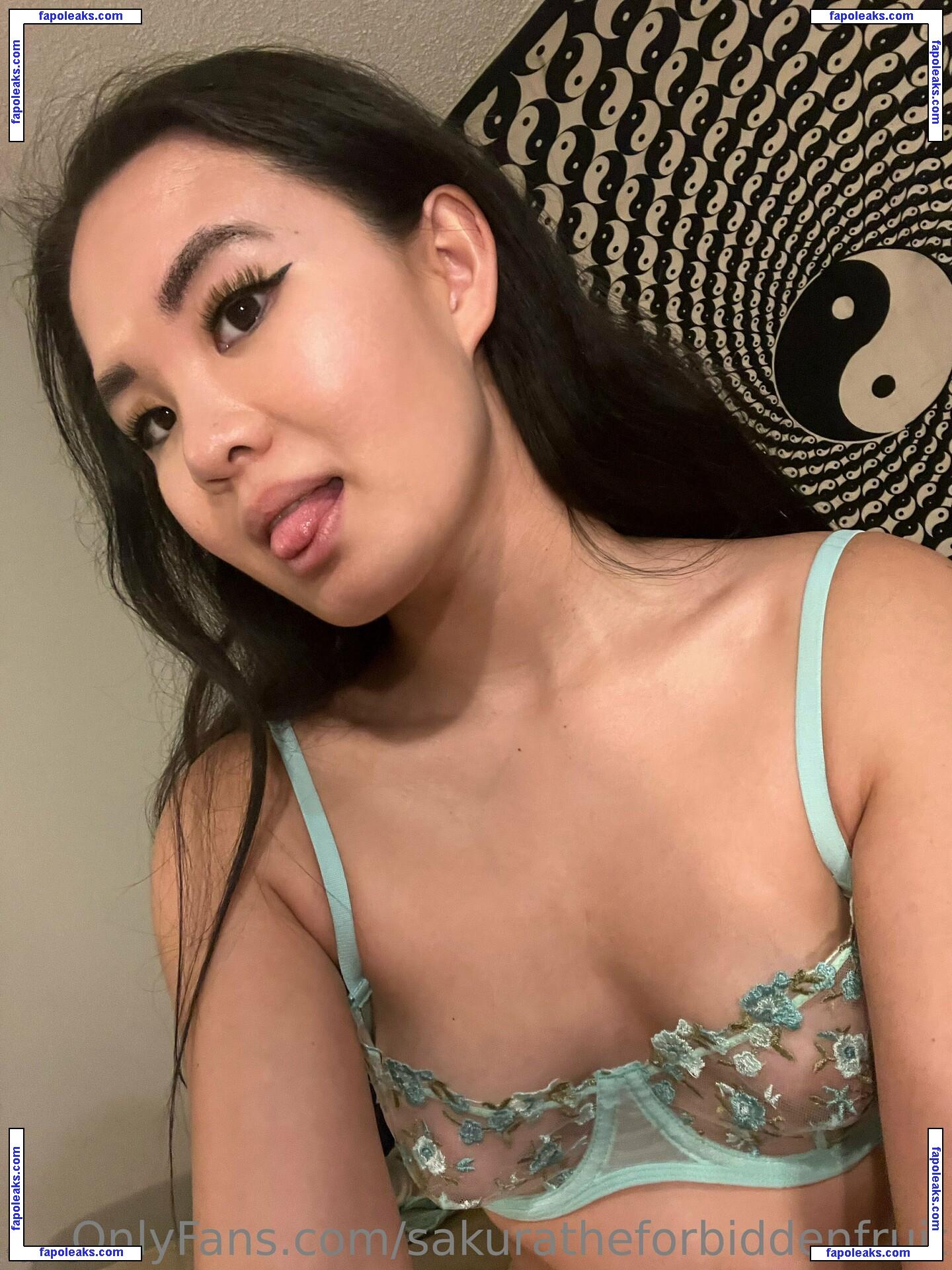 sakuratheforbiddenfruit / yourforbiddenlover_ nude photo #0025 from OnlyFans