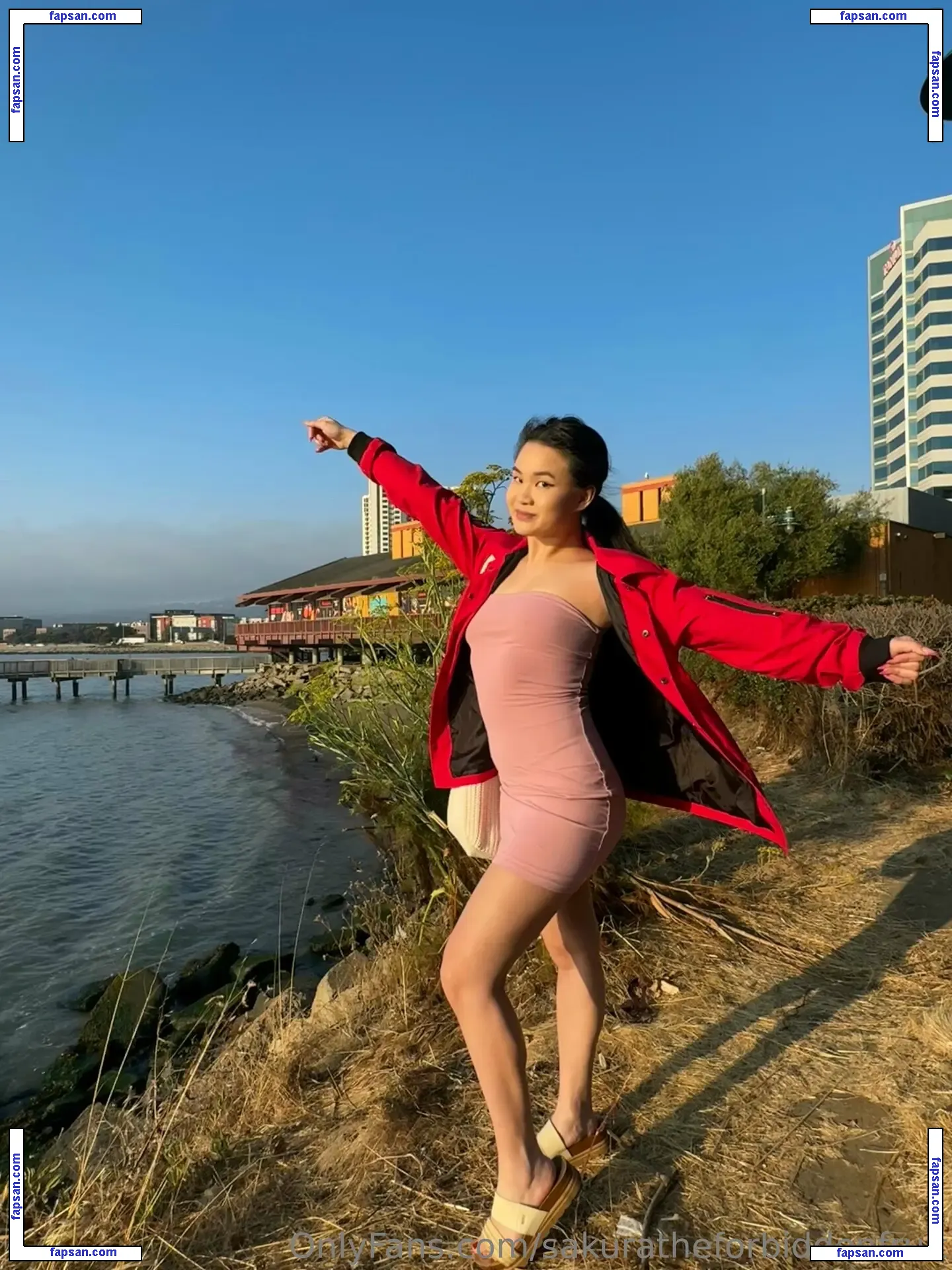 sakuratheforbiddenfruit nude photo #0149 from OnlyFans