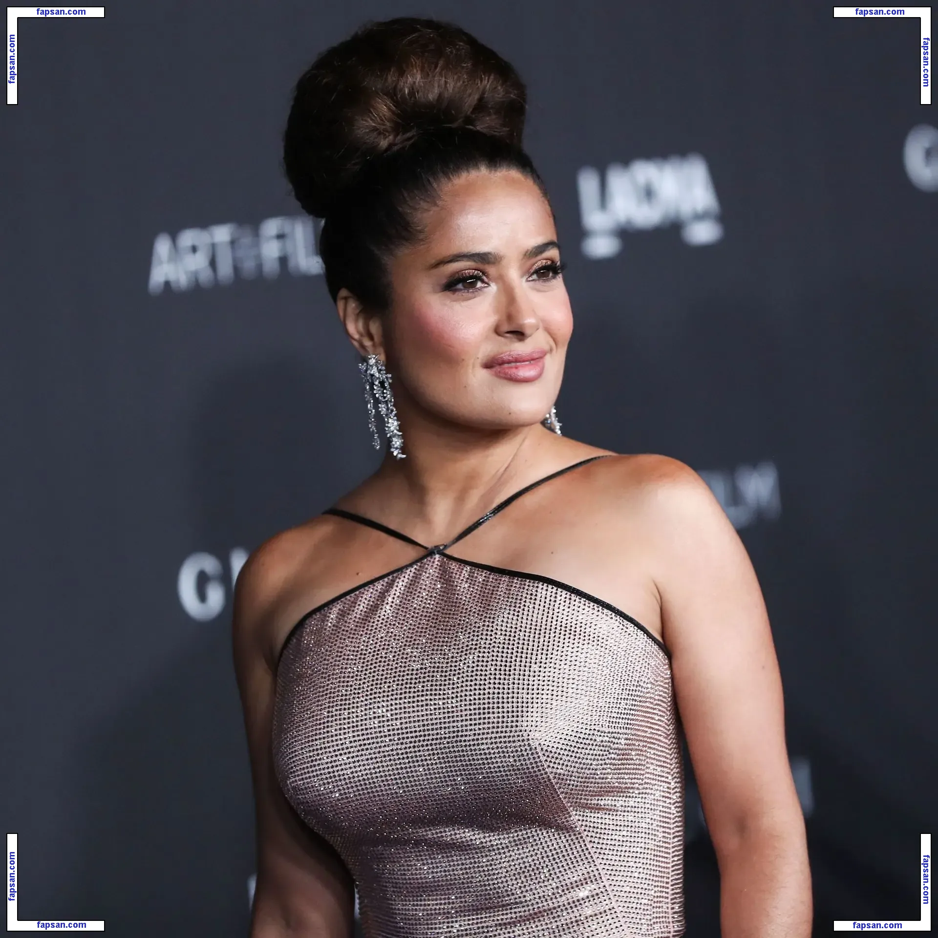 Salma Hayek голая фото #0940 с Онлифанс