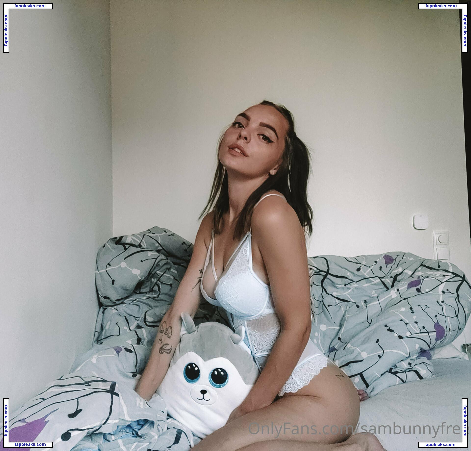 sambunnyfree / sambunny nude photo #0006 from OnlyFans